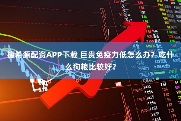 捷希源配资APP下载 巨贵免疫力低怎么办？吃什么狗粮比较好？